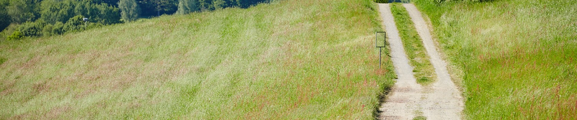 Hotel Fit_16.05.14_064