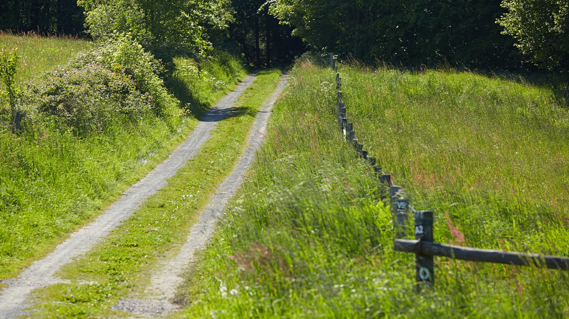 Hotel Fit_16.05.14_068